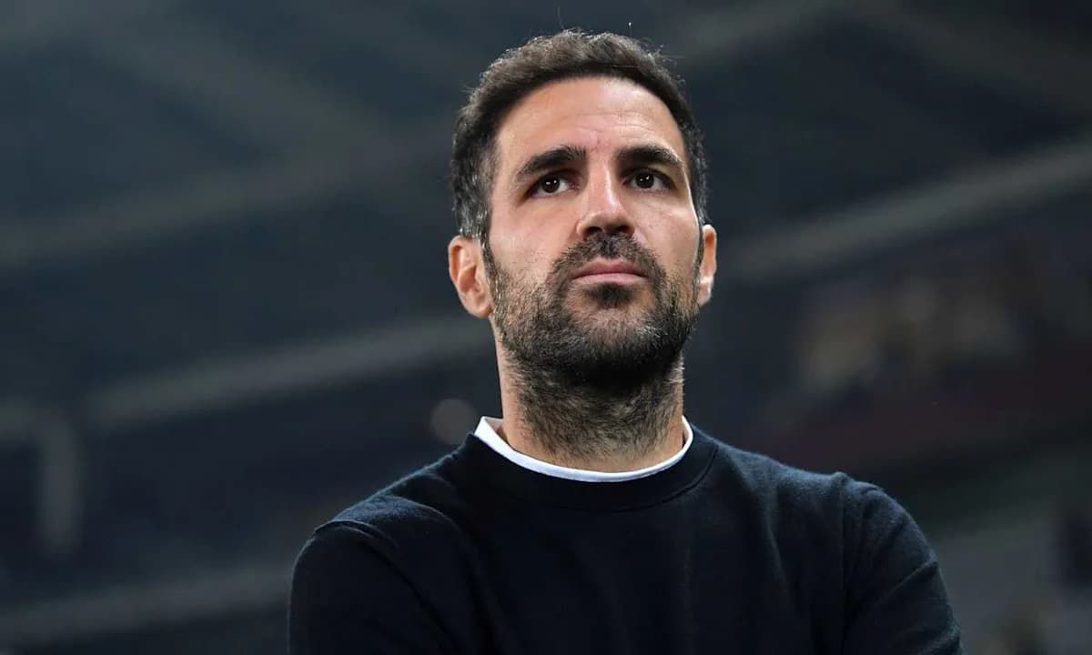 Hombre observando un partido de fútbol en el estadio