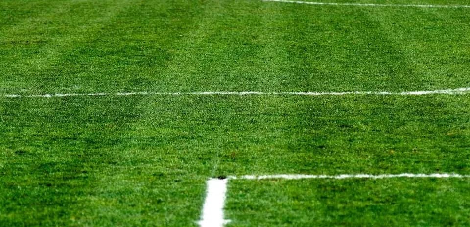 Campo de fútbol con líneas marcadas en césped