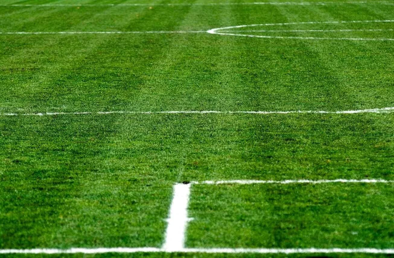 Campo de fútbol con líneas blancas marcadas
