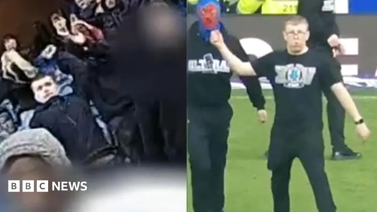 A fan celebrating and another on the field A fan celebrating and another on the field